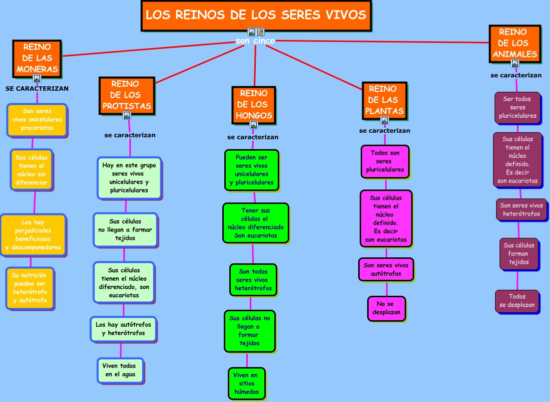 Sciences and English 4: November 2015